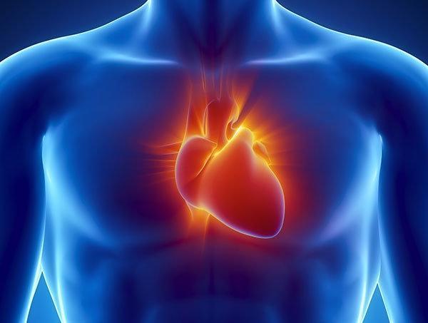 Kalp sağlığı ile ilgili doğru bilinen 4 yanlış