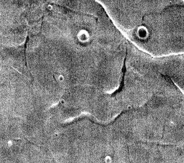 Bu da Mars’ın vesikalık fotoğrafı