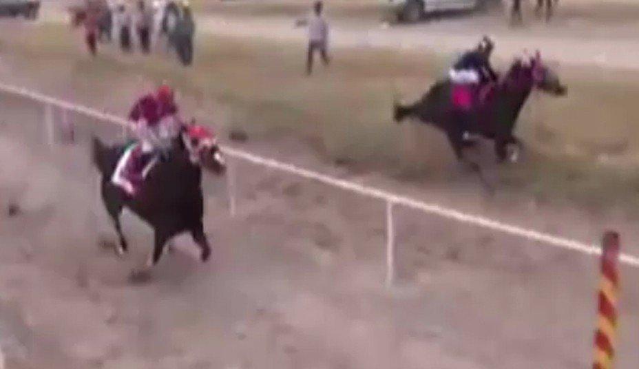 Meksika’da yarış atı kamyonete çarptı