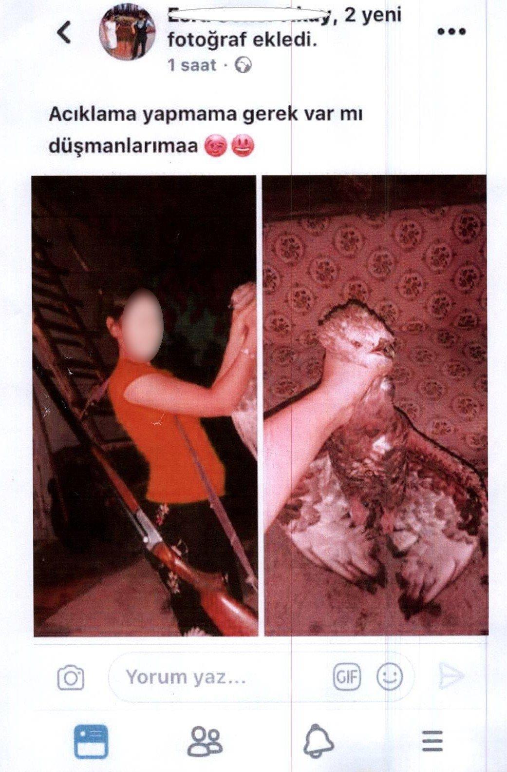 Kızıl şahini öldürüp Facebookta paylaştı
