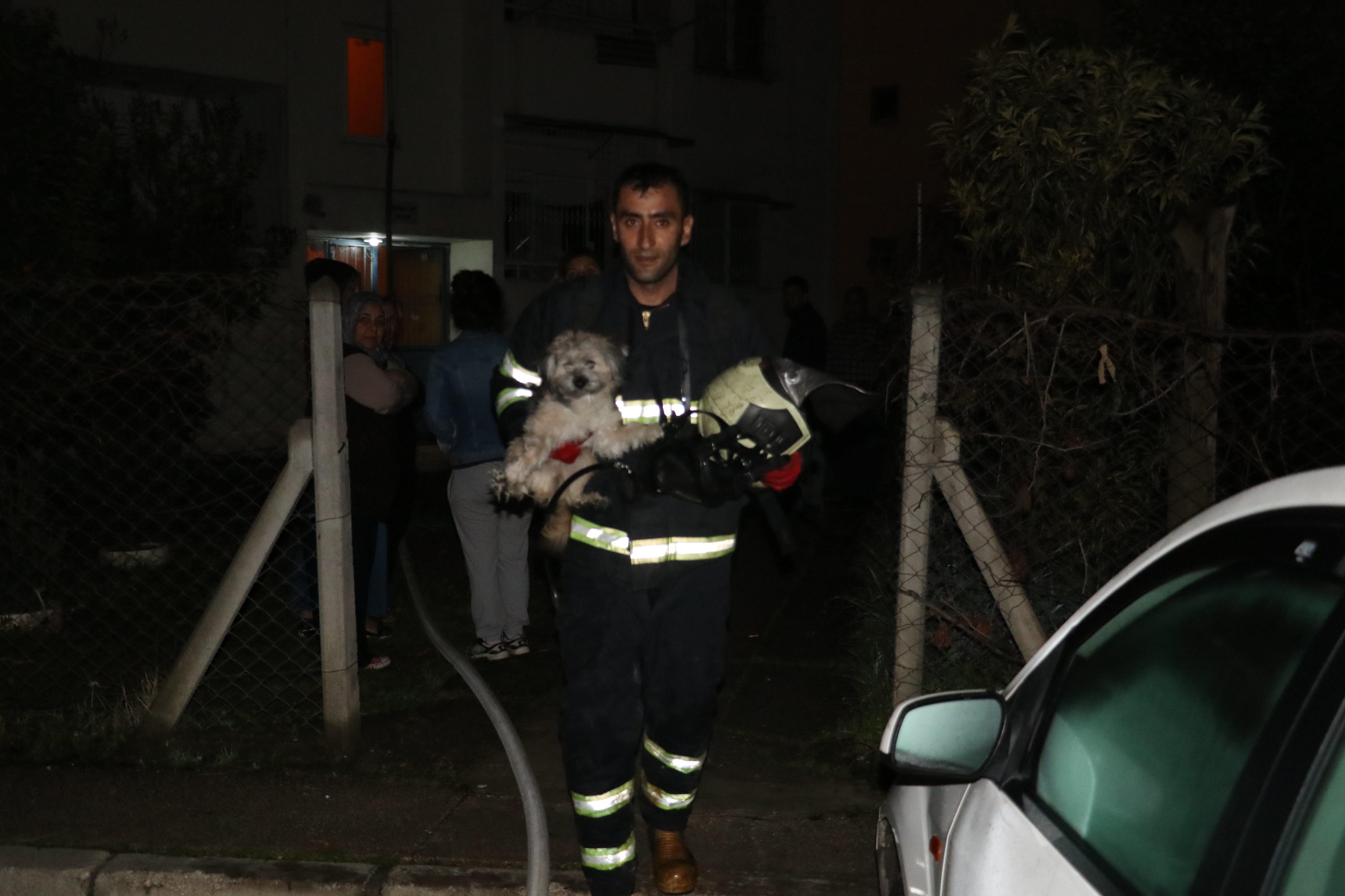 Adanada eski sevgili evi yaktı Hayvanlar son anda kurtarıldı