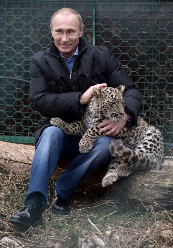 Putinin leoparı ölü bulundu