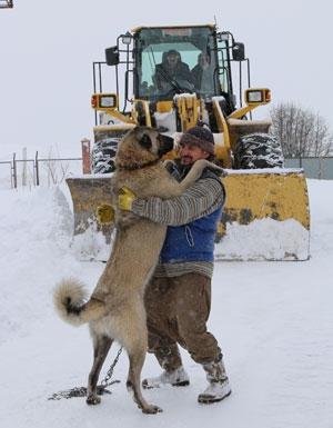 Kangalların imdadına karla mücadele ekipleri yetişti