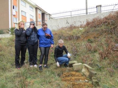 Trabzon’da esrarengiz hayvan ölümleri