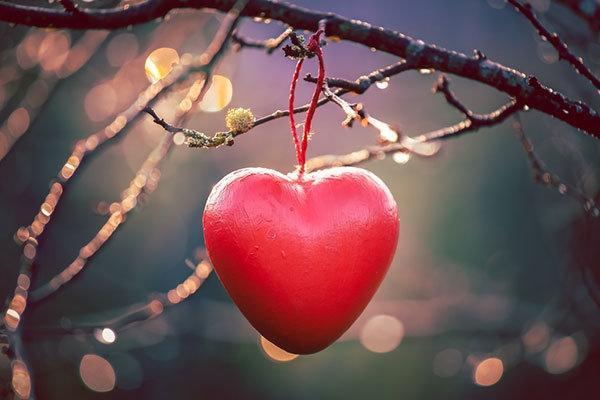 Aşk mı yoksa takıntı mı 10 soruda test edin (14 Şubat Sevgililer Günü)