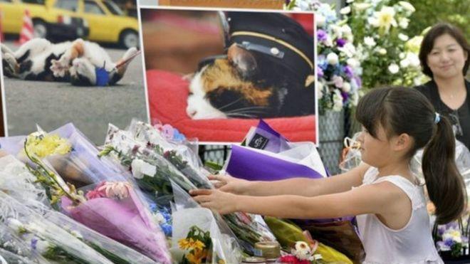 İstasyon şefi kediye görkemli cenaze töreni
