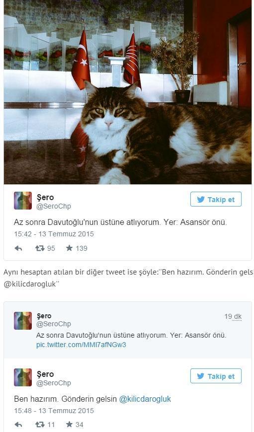 CHPnin kedisi Şerodan Davutoğlu tweeti