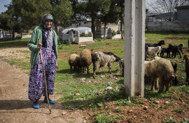 86 yaşındaki Hatice Özkan sınırın sıfır noktasında çobanlık yapıyor