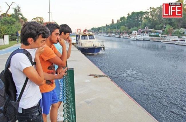 Kadıköy halkı Kurbağalıdere için eyleme başlıyor