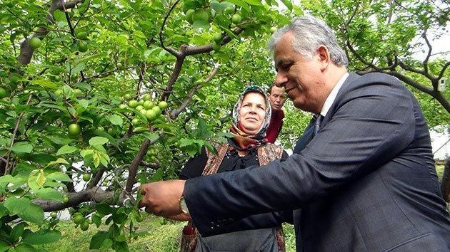 Eriğin kilosu 150 liraya düştü