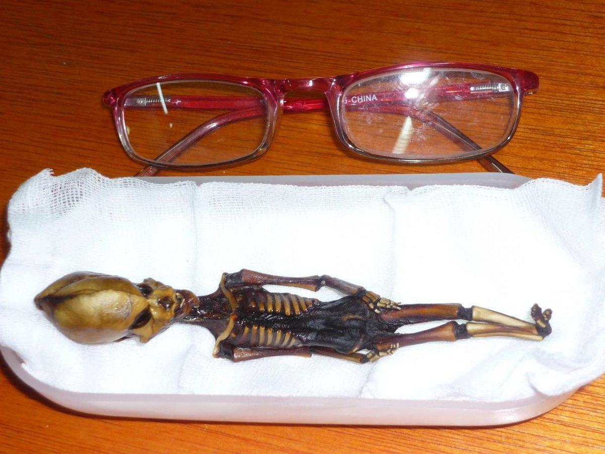 Şilideki Atacama Çölünde bulunan uzaylı iskeleti insan çıktı