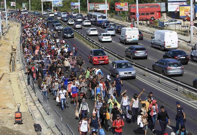 Sığınmacılar yürüyerek Macaristandan Avusturyaya gidiyor