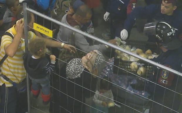 Macar kampında göçmenlere hayvan muamelesi