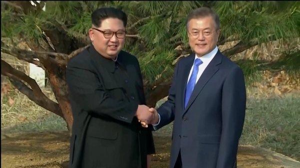 İki lider barışı simgeleyen ağaç dikti