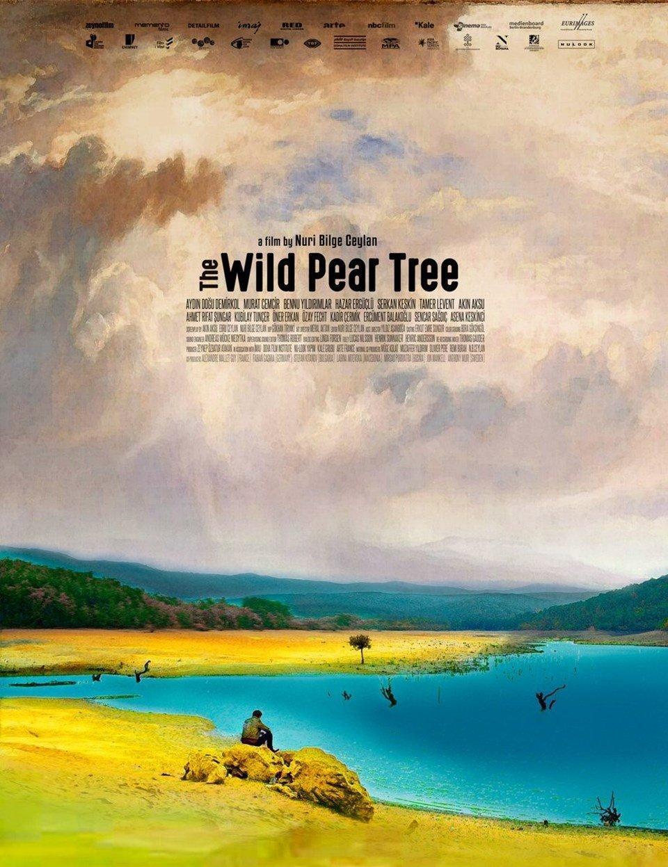 Nuri Bilge Ceylanın Ahlat Ağacı filminin yeni afişi çıktı