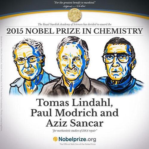 2015 Nobel Kimya Ödülü bir Mardinliye
