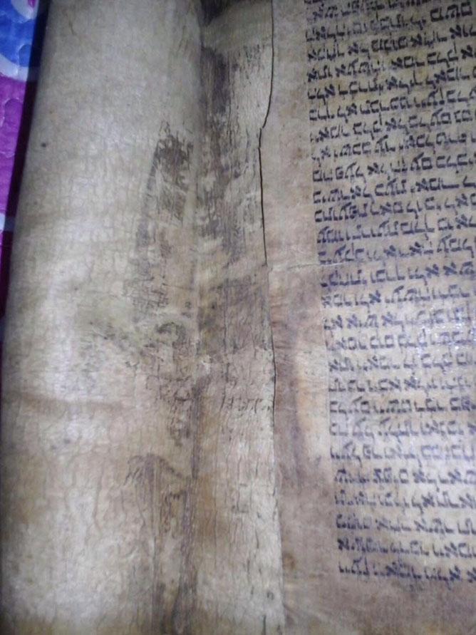 Balina derisine yazılmış 600 yıllık Tevratı satmak isterken yakalandı