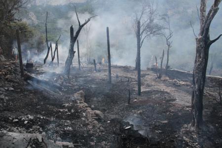 Kabak Koyunda feci yangın: 19 bungalov kül oldu