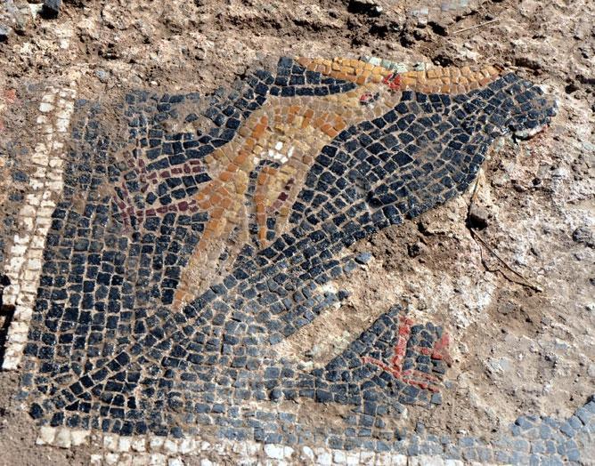 Kırıkkalede sel Roma mozaiklerini ortaya çıkardı