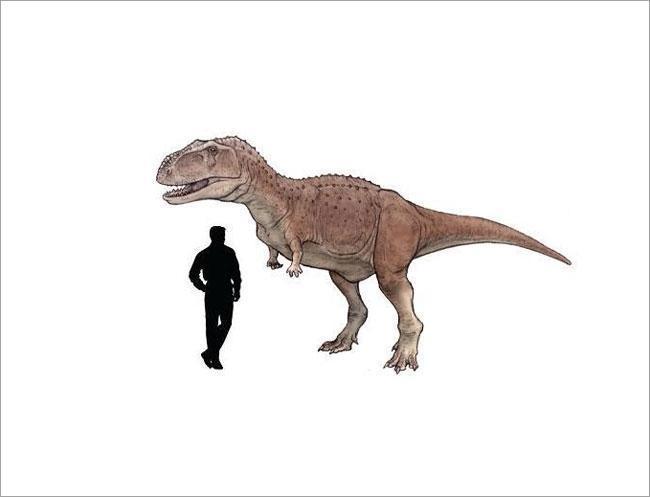 Bolivyada 1,2 metrelik dinozor ayak izi bulundu