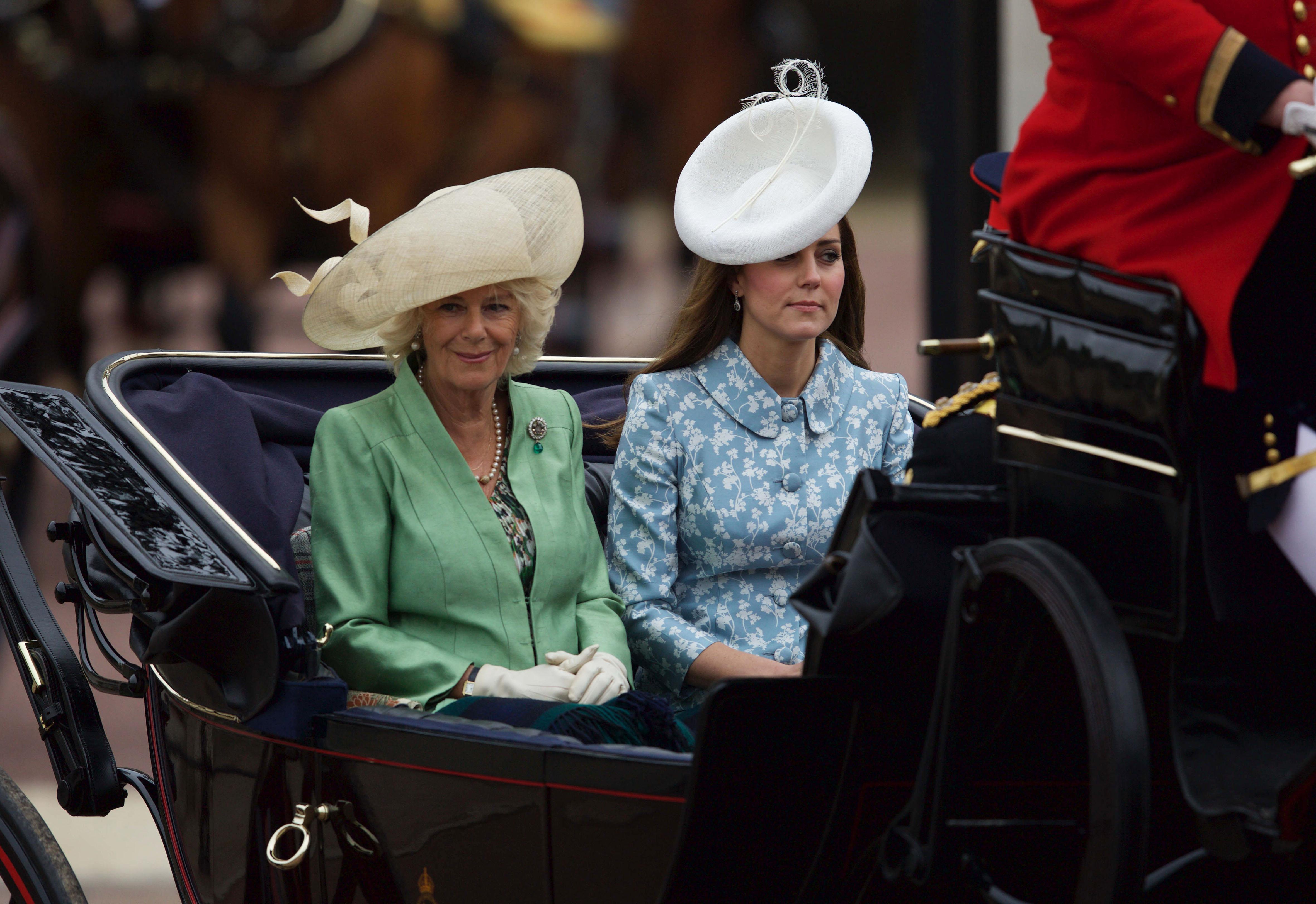Prens Williamdan Camillaya destek