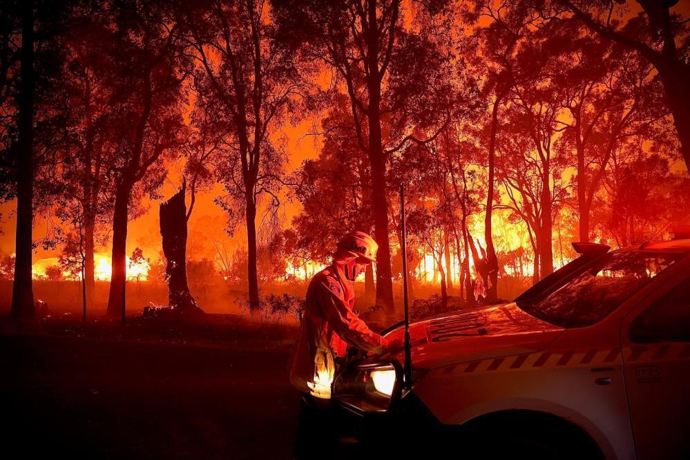 Avustralya’daki orman yangını 60 bin hektar alanı kül etti