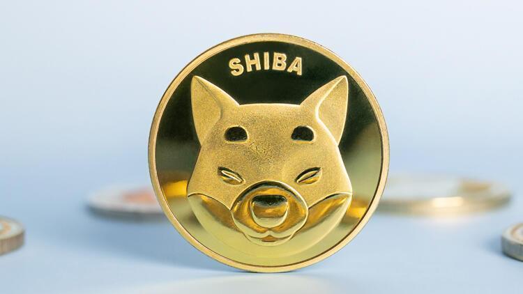 Shiba coin fiyatı ne kadar oldu 7 Şubat Shiba coinde son durum ne, neden yükseldi