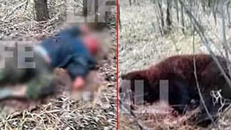 Rus boksör arkadaşını öldüren ayı ile boğuştu