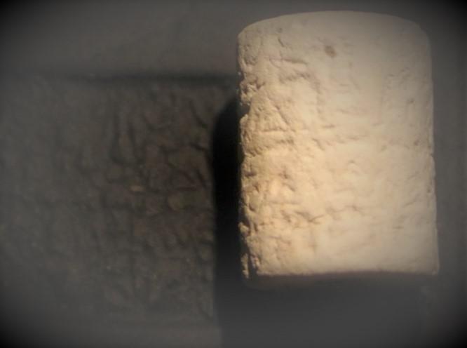 Puruşhandanın ilk duvarları bulunmuş olabilir