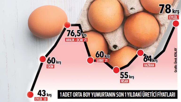 Yumurta fiyatları her gün yükseliyor Üretici: Maliyetin altında satıyoruz
