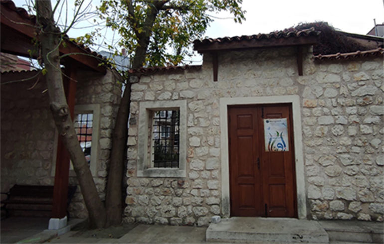 İstanbuldaki mescidin avlusundaki ağacın sırrı Gören şaşkınlıkla bakıyor