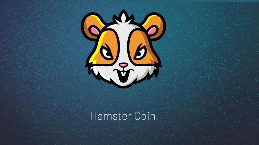 Hamstercoin nedir, nasıl alınır Hamster Coin ne kadar, kaç TL Elon Musk’tan  heyecanlandıran Hamcoin paylaşımı