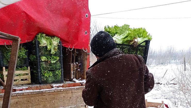 Kar yağışı çiftçileri sevindirdi Kar afet değil, berekettir