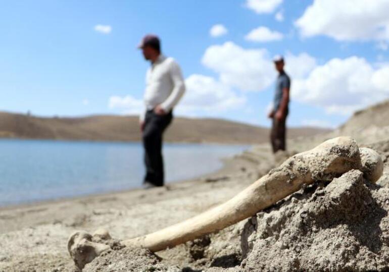 Palandöken Barajında kuralık Mezarlar gün yüzüne çıktı, kemikler kıyıya vurdu