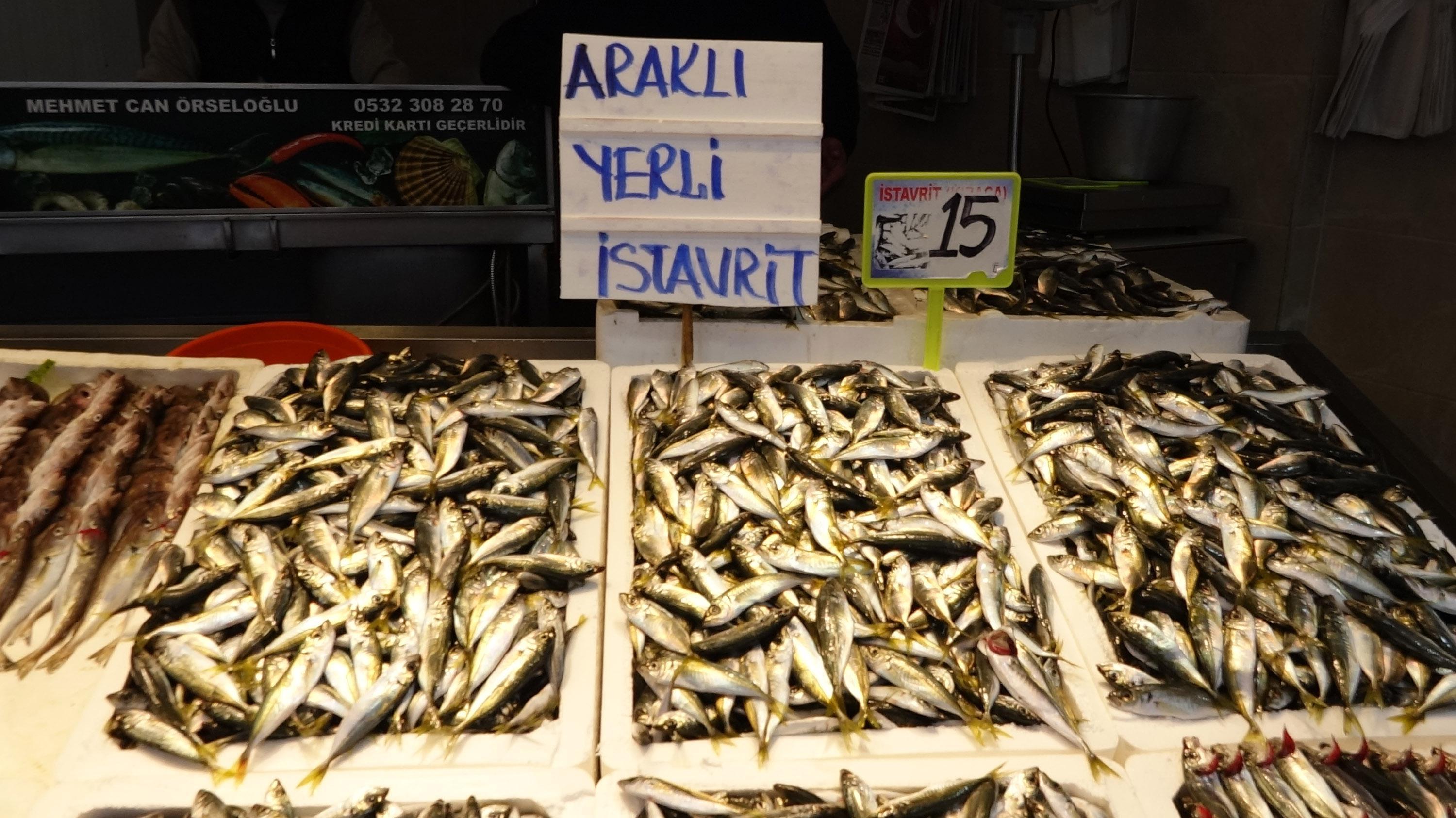 Hamsinin fiyatı 6 kat yükseldi Hamsi balık fiyatları...