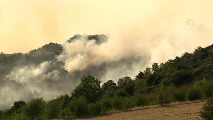 Son dakika: Ankarada orman yangını Ekipler Çubuk ilçesinde