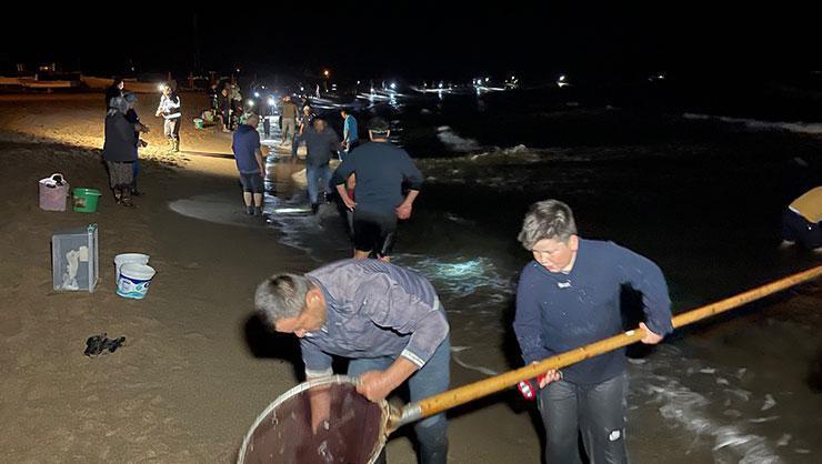 Yüzlerce kişi akın etti Eline çuvalı, kovayı alan sahile koştu