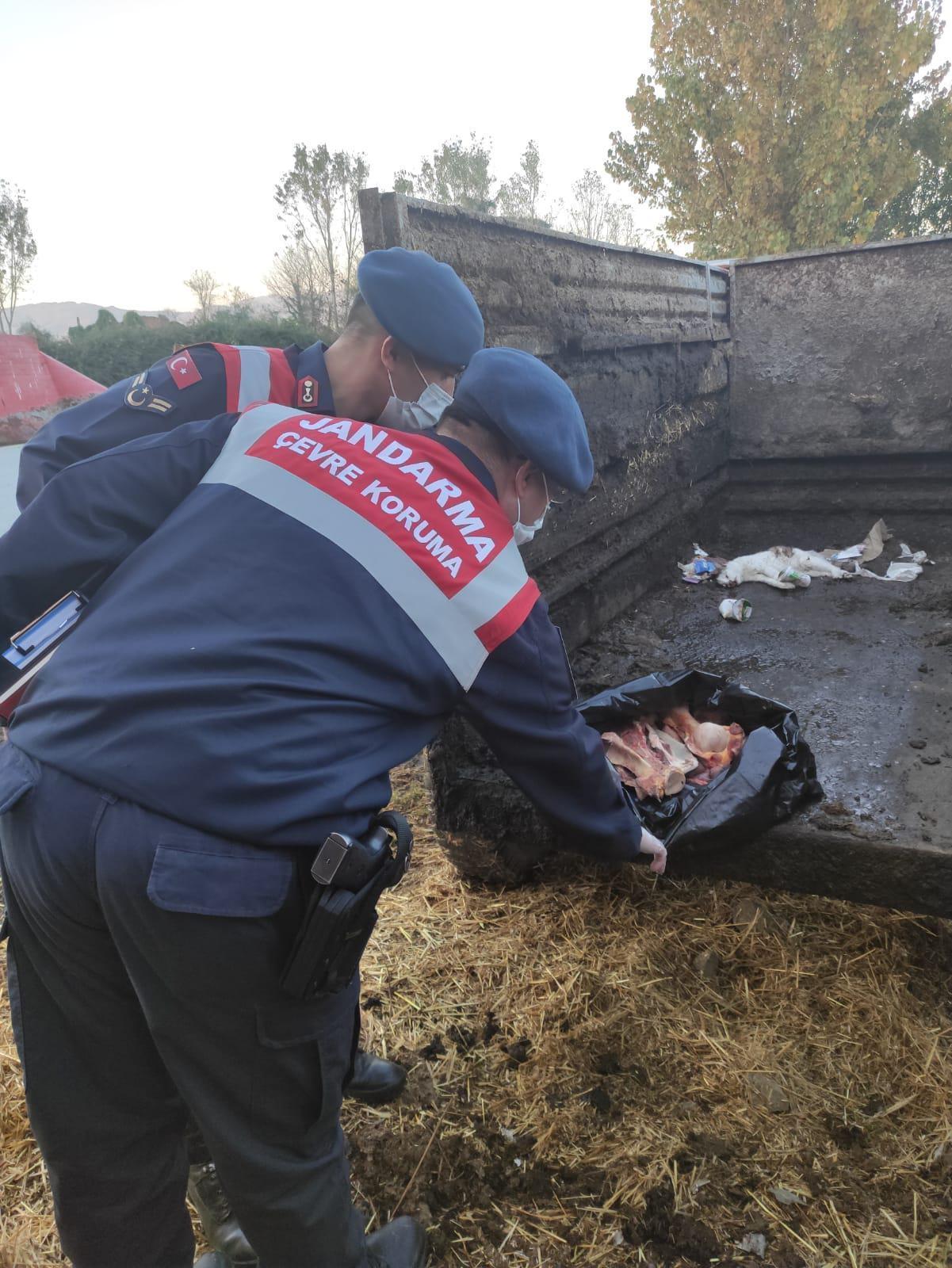 Son dakika: İğrenç görüntü Baba ile oğlu yakalandı