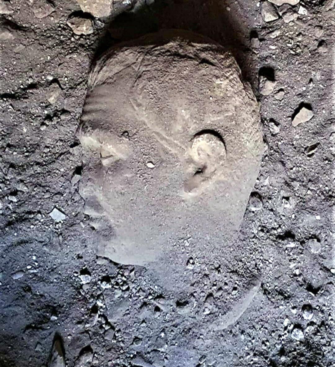 Datçada 2 bin yıllık mermer heykel başları bulundu