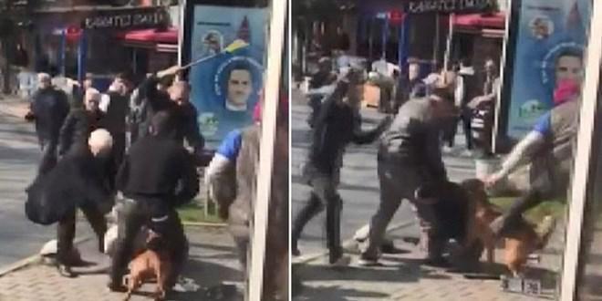Pitbull dehşeti devam ediyor İstanbulun göbeğinde saldırdı