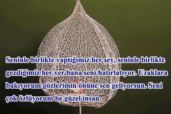 Ölmüş sevgiliye Sevgililer Günü mesajı Vefat eden eşe, sevgiliye duygusal ve hüzünlü 14 Şubat Sevgililer Günü mesajı