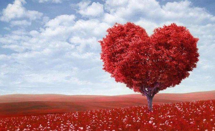 14 Şubat Sevgililer Günü için ünlü şiirler Sevgililer Günü için şiirleri