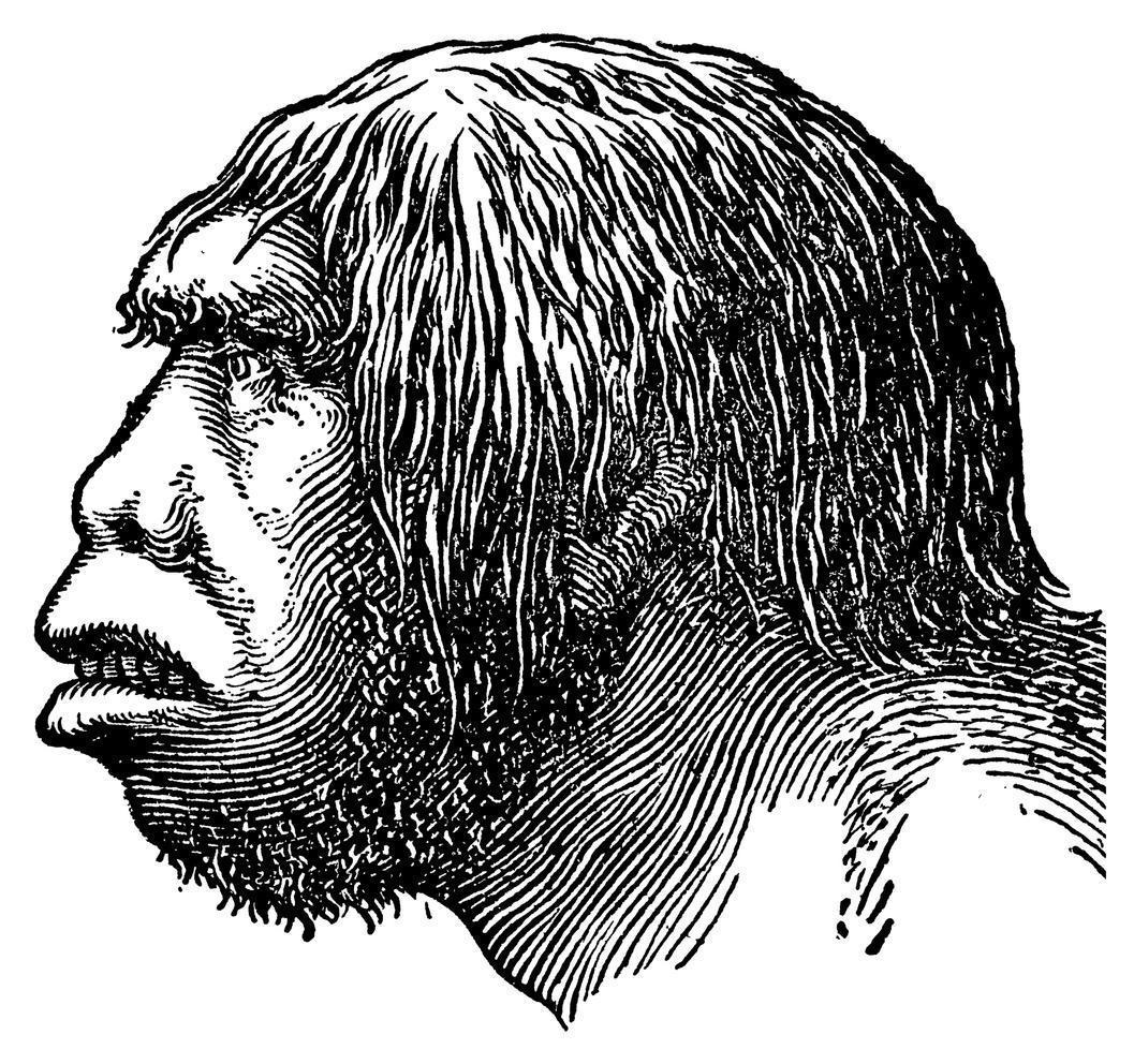 İnsanlık tarihini değiştirecek keşif: Neandertaller...