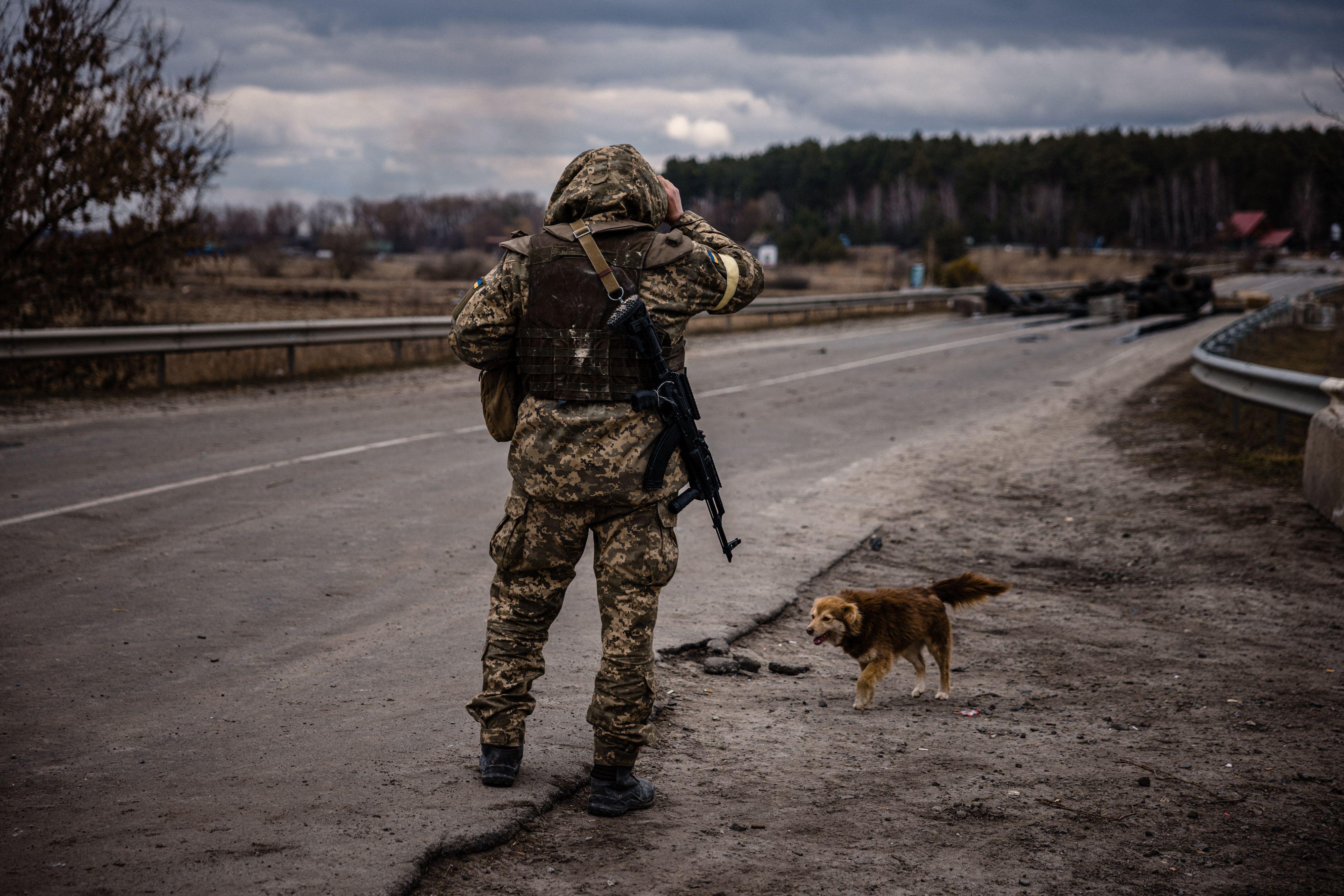 Ukraynadaki işgalde kahreden detaylar: Köpekler cesetleri yemeye başladı