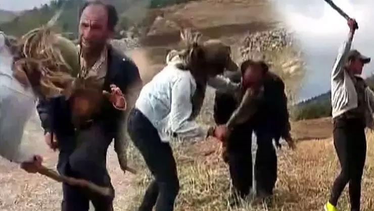 İki kız kardeş, çobana dehşeti yaşatmıştı, karar çıktı!