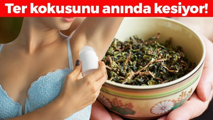 Ter Kokusuna Elveda! 5 Dakikada Uygulanabilen Doğal Çözüm: Roll-On'lara Alternatif!