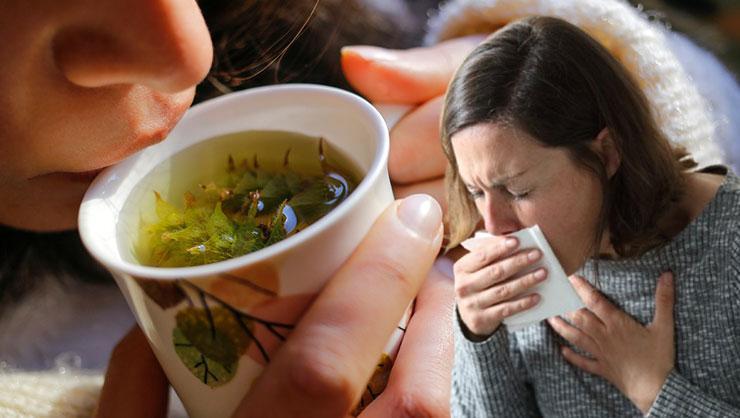 Soothing Tea Recipe to Relieve Coughs and Sore Throat Soothing Tea Recipe to Relieve Coughs and Sore Throat