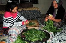 Yılan otlu lezzet: Tırşik çorbası