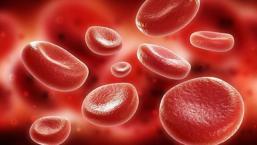 Septik şok nedir, nasıl anlaşılır? Sepsis hastalığı ve şok nasıl önlenir?