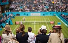 2019 Wimbledon tek erkekler finali ne zaman, saat kaçta, hangi kanalda?